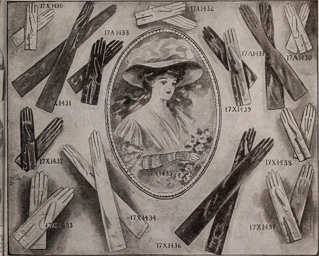 An illustration from [Catalog]., 1908, leaf 144