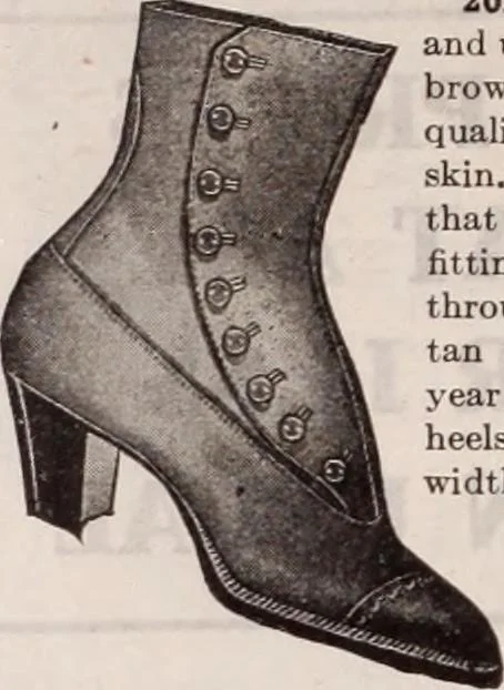 An illustration from [Catalog]., 1908, leaf 153