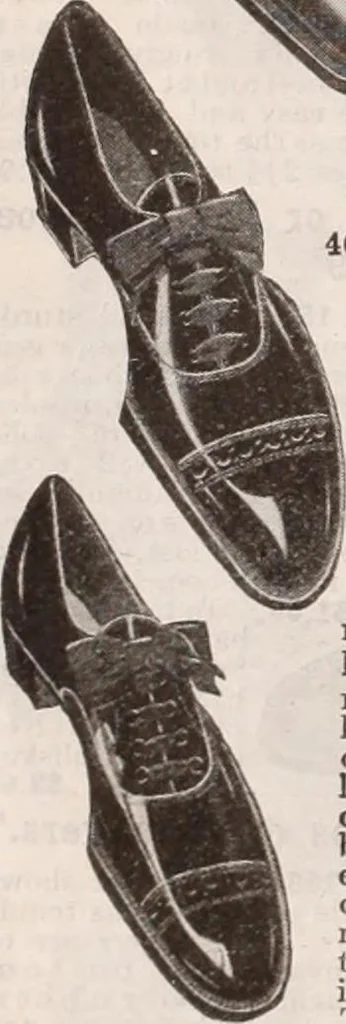 An illustration from [Catalog]., 1908, leaf 155