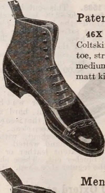 An illustration from [Catalog]., 1908, leaf 155