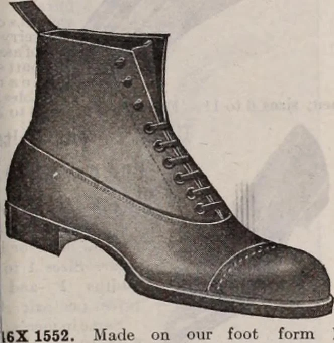 An illustration from [Catalog]., 1908, leaf 156