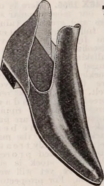 An illustration from [Catalog]., 1908, leaf 157