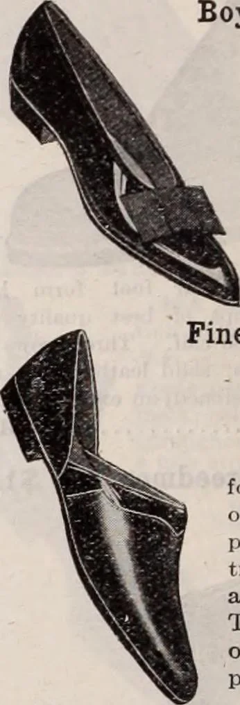 An illustration from [Catalog]., 1908, leaf 157