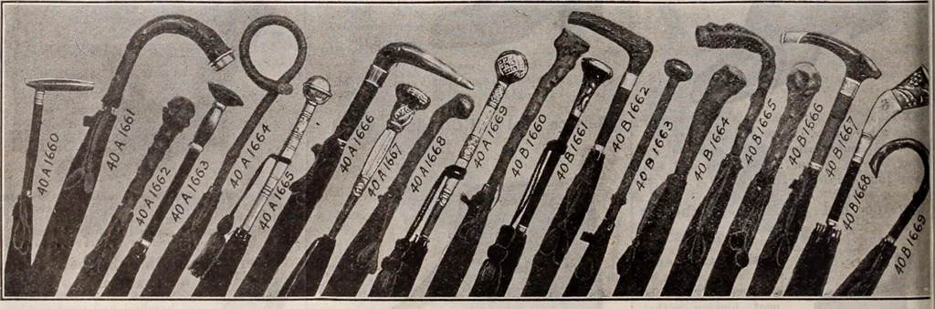 An illustration from [Catalog]., 1908, leaf 157