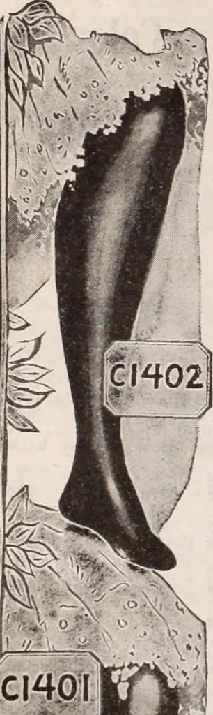 An illustration from [Catalog]., 1908, leaf 169