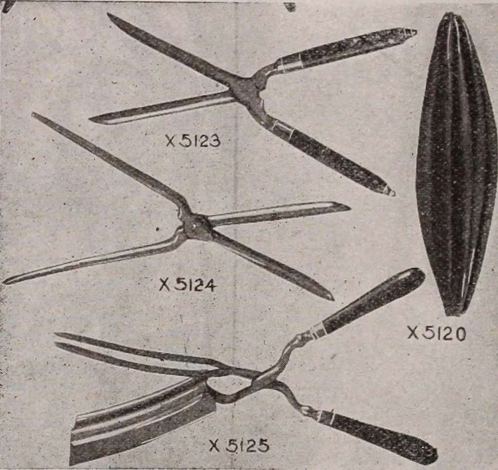 An illustration from [Catalog]., 1908, leaf 205