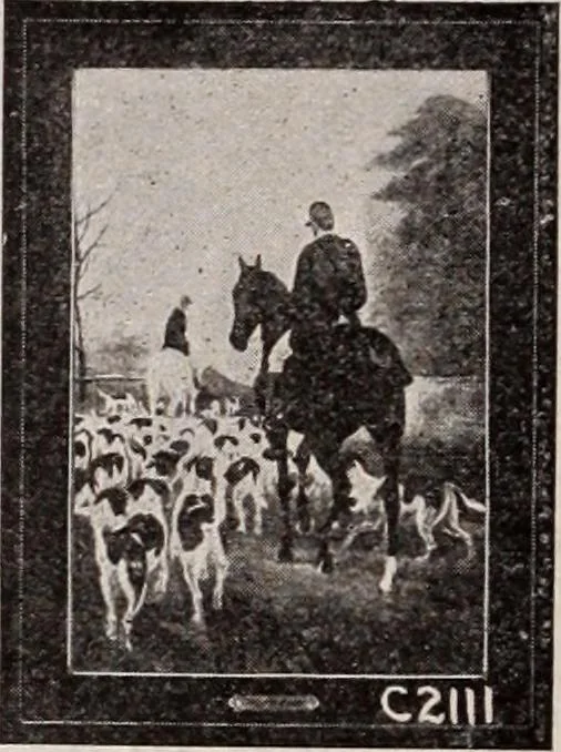 An illustration from [Catalog]., 1908, leaf 229