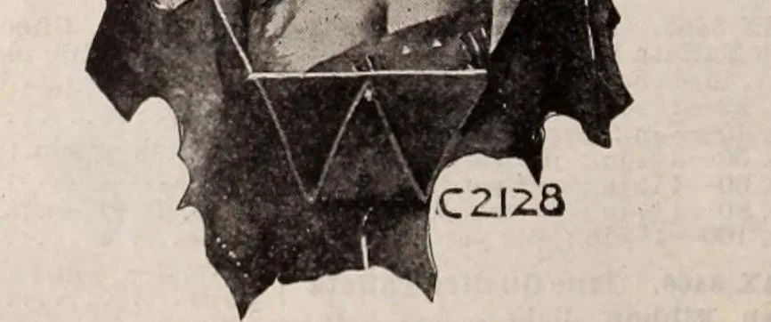 An illustration from [Catalog]., 1908, leaf 229