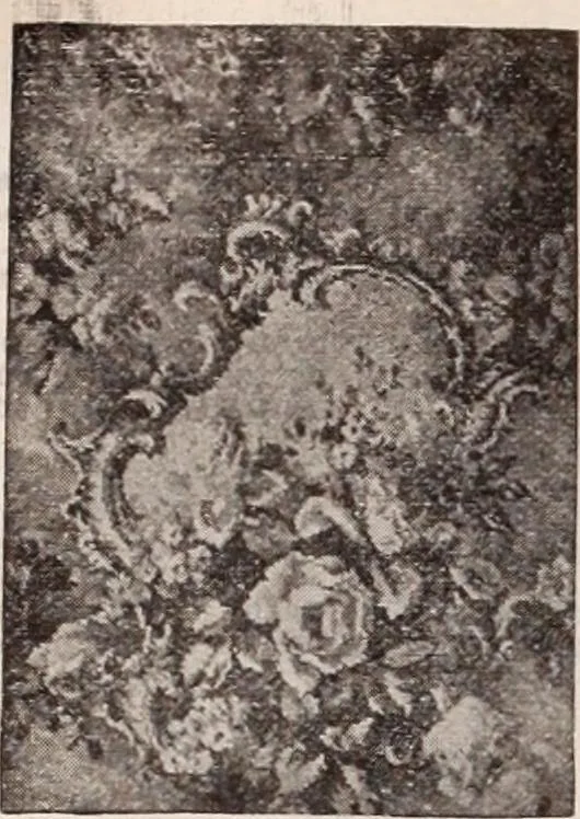 An illustration from [Catalog]., 1908, leaf 233