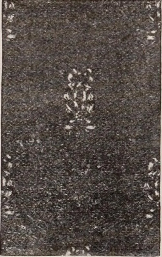 An illustration from [Catalog]., 1908, leaf 233