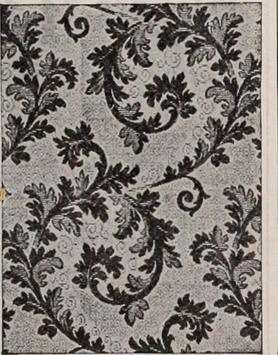 An illustration from [Catalog]., 1908, leaf 234
