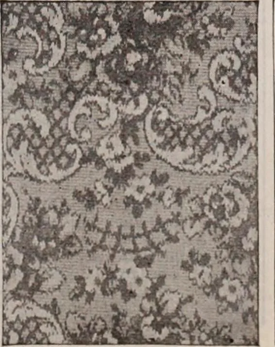 An illustration from [Catalog]., 1908, leaf 234