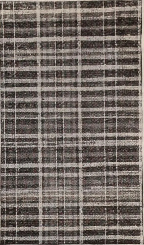 An illustration from [Catalog]., 1908, leaf 234