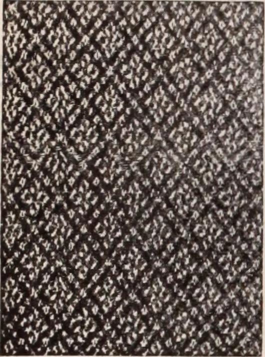 An illustration from [Catalog]., 1908, leaf 235