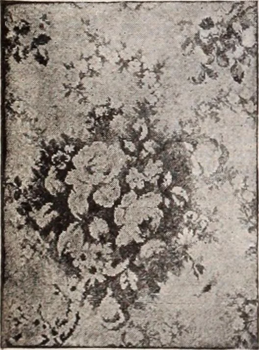 An illustration from [Catalog]., 1908, leaf 235