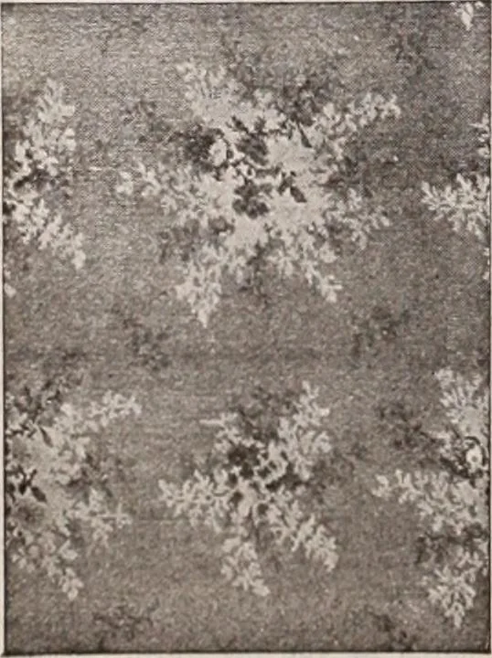 An illustration from [Catalog]., 1908, leaf 235