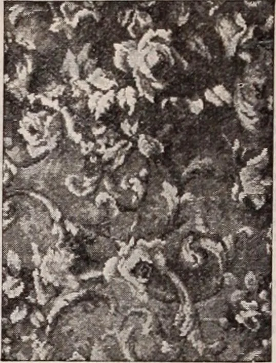An illustration from [Catalog]., 1908, leaf 235