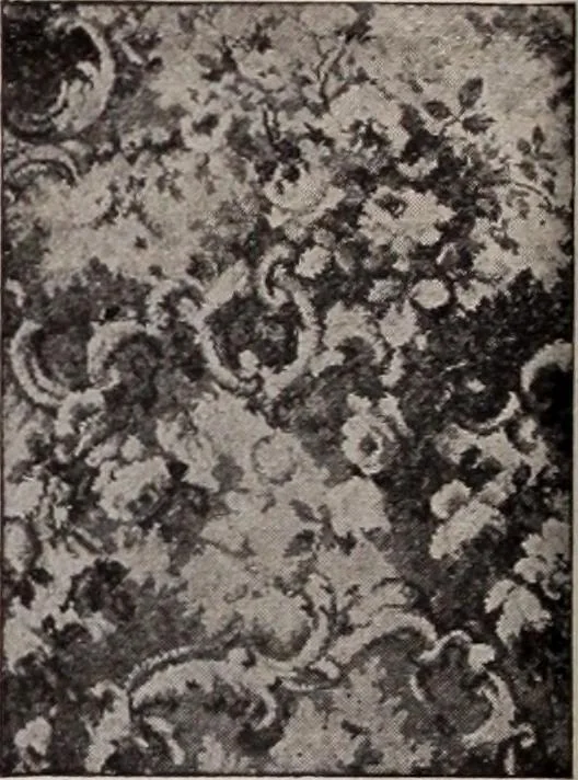 An illustration from [Catalog]., 1908, leaf 235