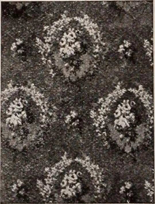 An illustration from [Catalog]., 1908, leaf 235