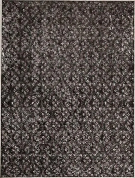 An illustration from [Catalog]., 1908, leaf 236