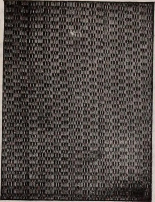An illustration from [Catalog]., 1908, leaf 238