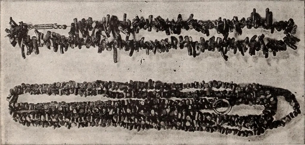 An illustration from [Catalog]., 1908, leaf 251