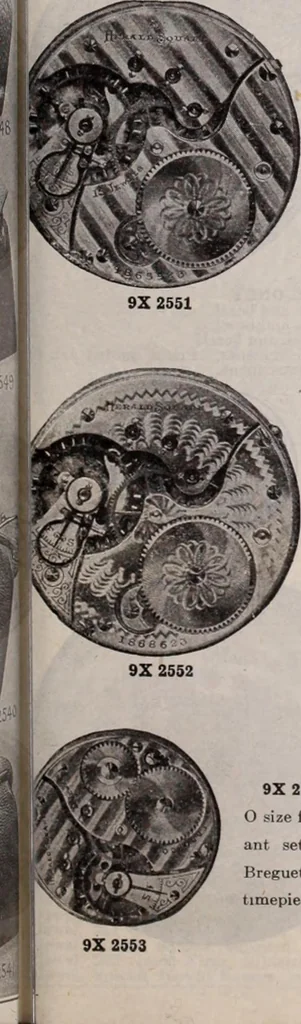 An illustration from [Catalog]., 1908, leaf 256