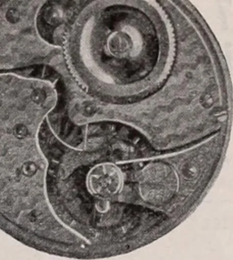 An illustration from [Catalog]., 1908, leaf 256