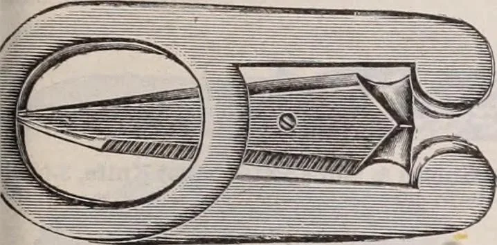 An illustration from [Catalog]., 1908, leaf 288