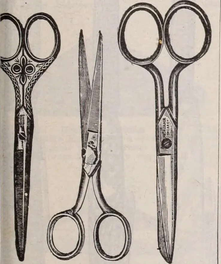 An illustration from [Catalog]., 1908, leaf 288