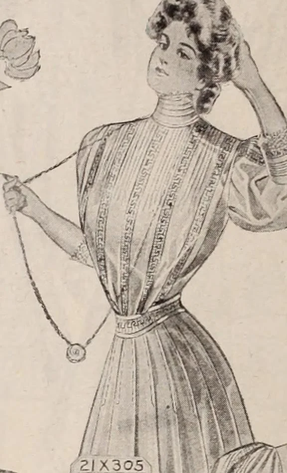 An illustration from [Catalog]., 1908, leaf 29