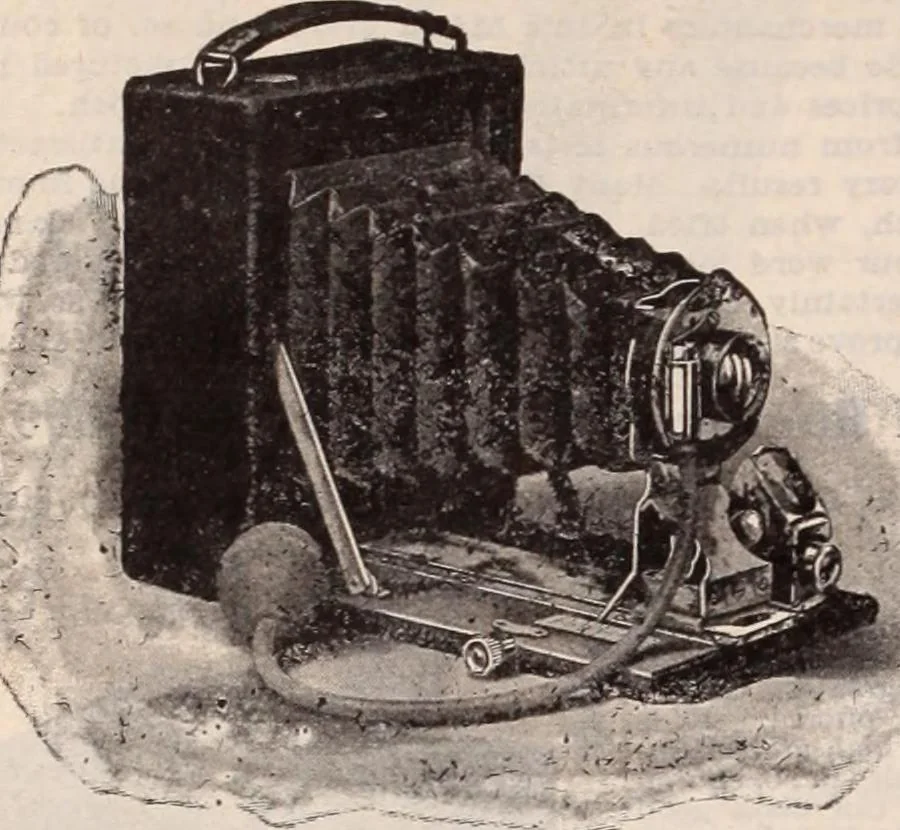 An illustration from [Catalog]., 1908, leaf 293