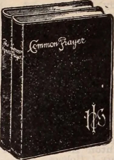 An illustration from [Catalog]., 1908, leaf 311