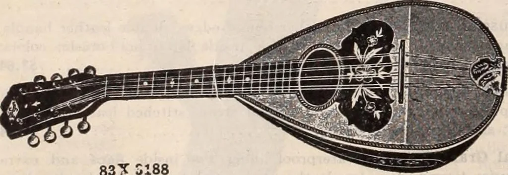 An illustration from [Catalog]., 1908, leaf 319