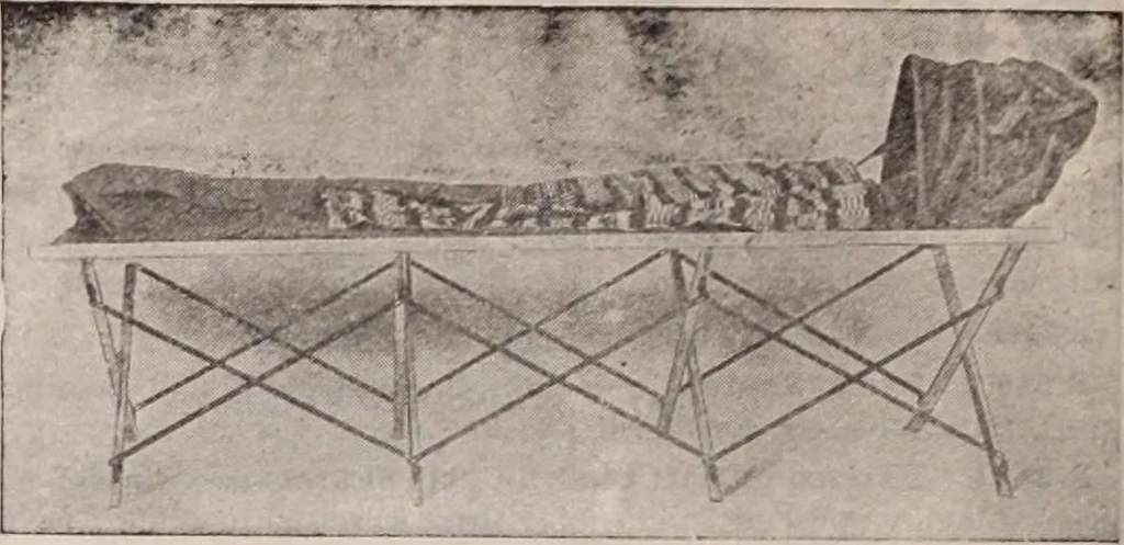 An illustration from [Catalog]., 1908, leaf 343