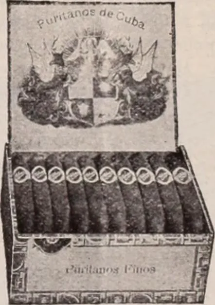 An illustration from [Catalog]., 1908, leaf 366