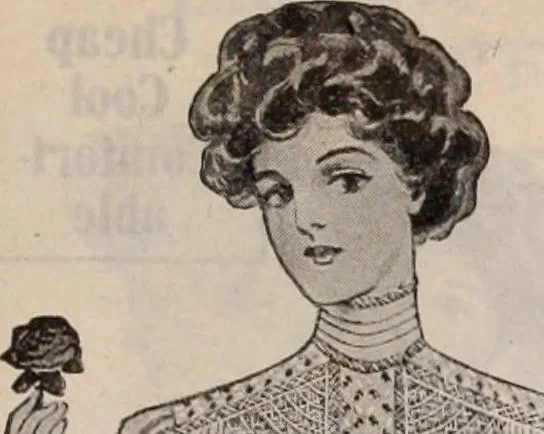 An illustration from [Catalog]., 1908, leaf 38