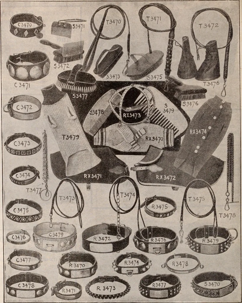 An illustration from [Catalog]., 1908, leaf 427