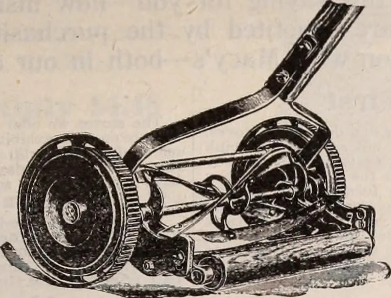 An illustration from [Catalog]., 1908, leaf 428