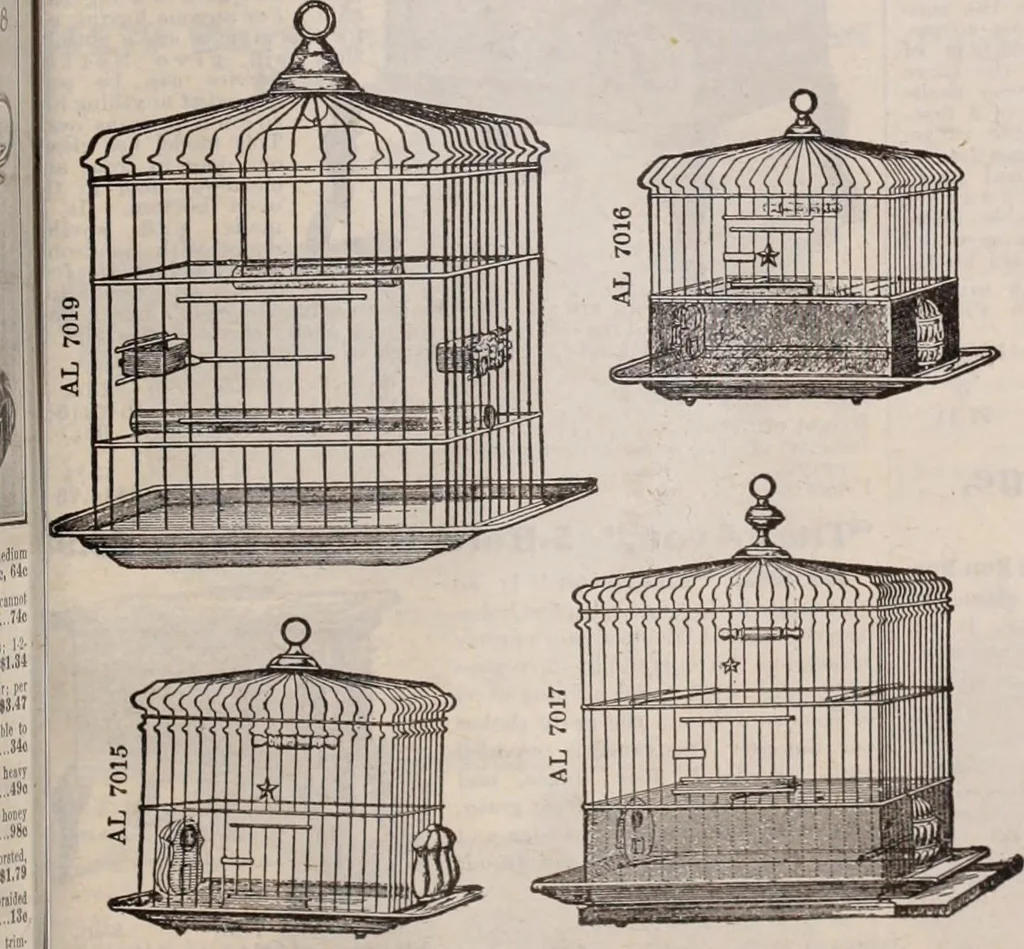 An illustration from [Catalog]., 1908, leaf 428
