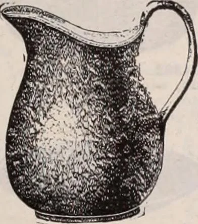 An illustration from [Catalog]., 1908, leaf 438