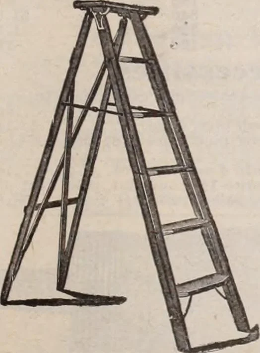 An illustration from [Catalog]., 1908, leaf 440