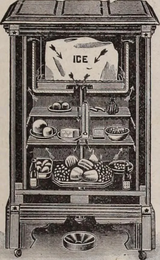 An illustration from [Catalog]., 1908, leaf 446