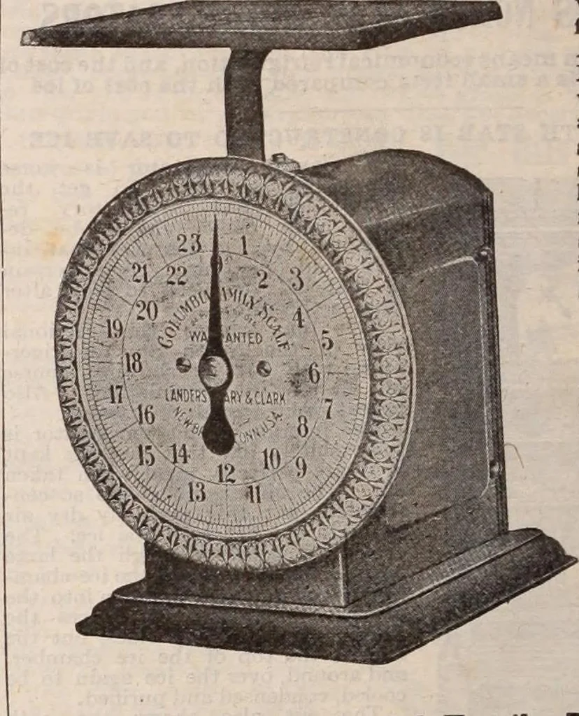 An illustration from [Catalog]., 1908, leaf 447
