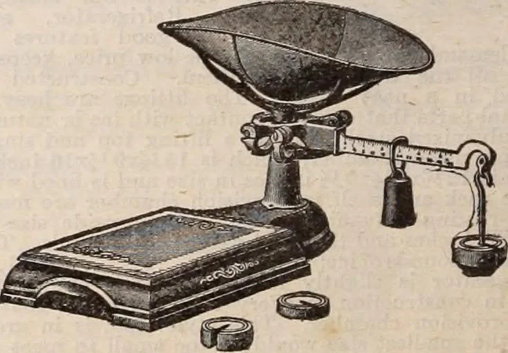 An illustration from [Catalog]., 1908, leaf 447