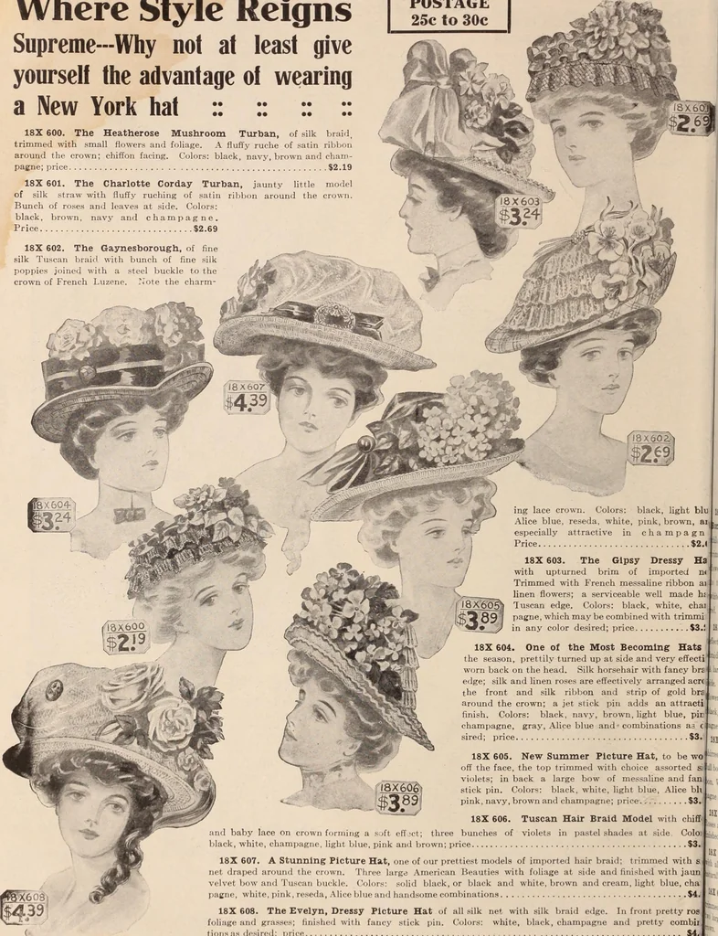 An illustration from [Catalog]., 1908, leaf 59