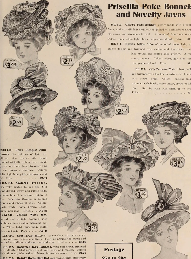 An illustration from [Catalog]., 1908, leaf 60