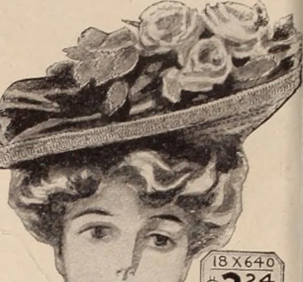 An illustration from [Catalog]., 1908, leaf 63