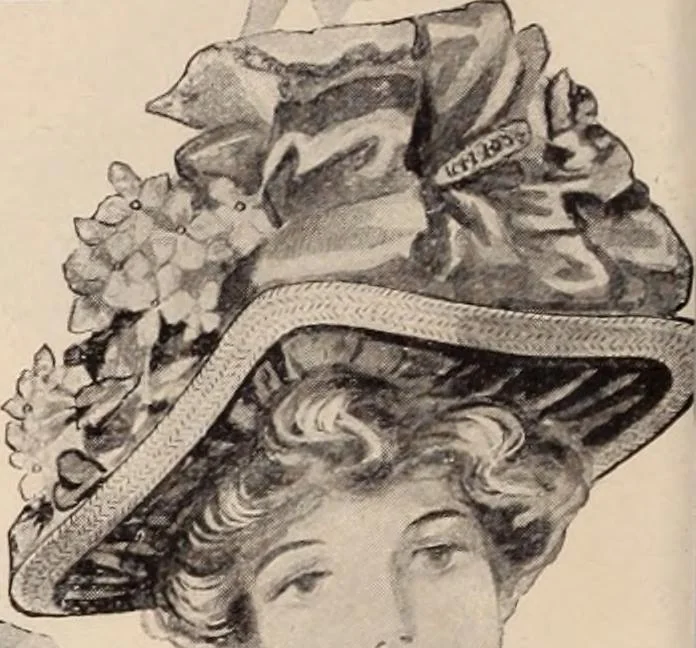 An illustration from [Catalog]., 1908, leaf 63