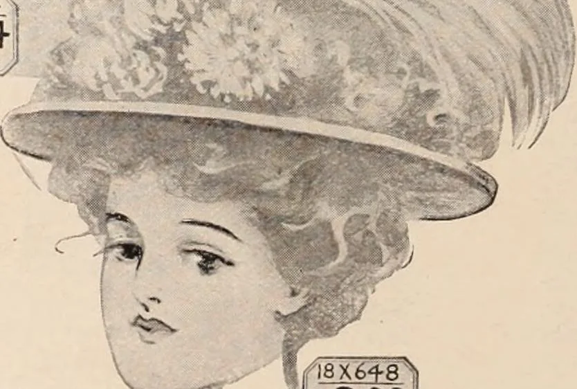 An illustration from [Catalog]., 1908, leaf 63
